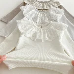 [66-10cm] レース襟 トップス - Image 18