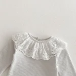 [66-10cm] レース襟 トップス - Image 25